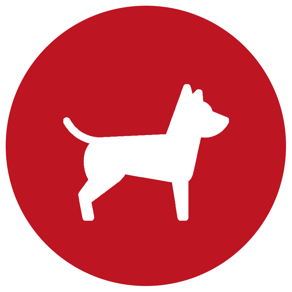 Chien Logo