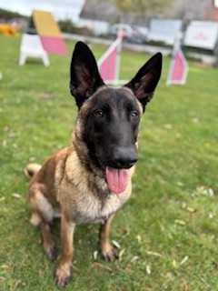 Photo de Bischop