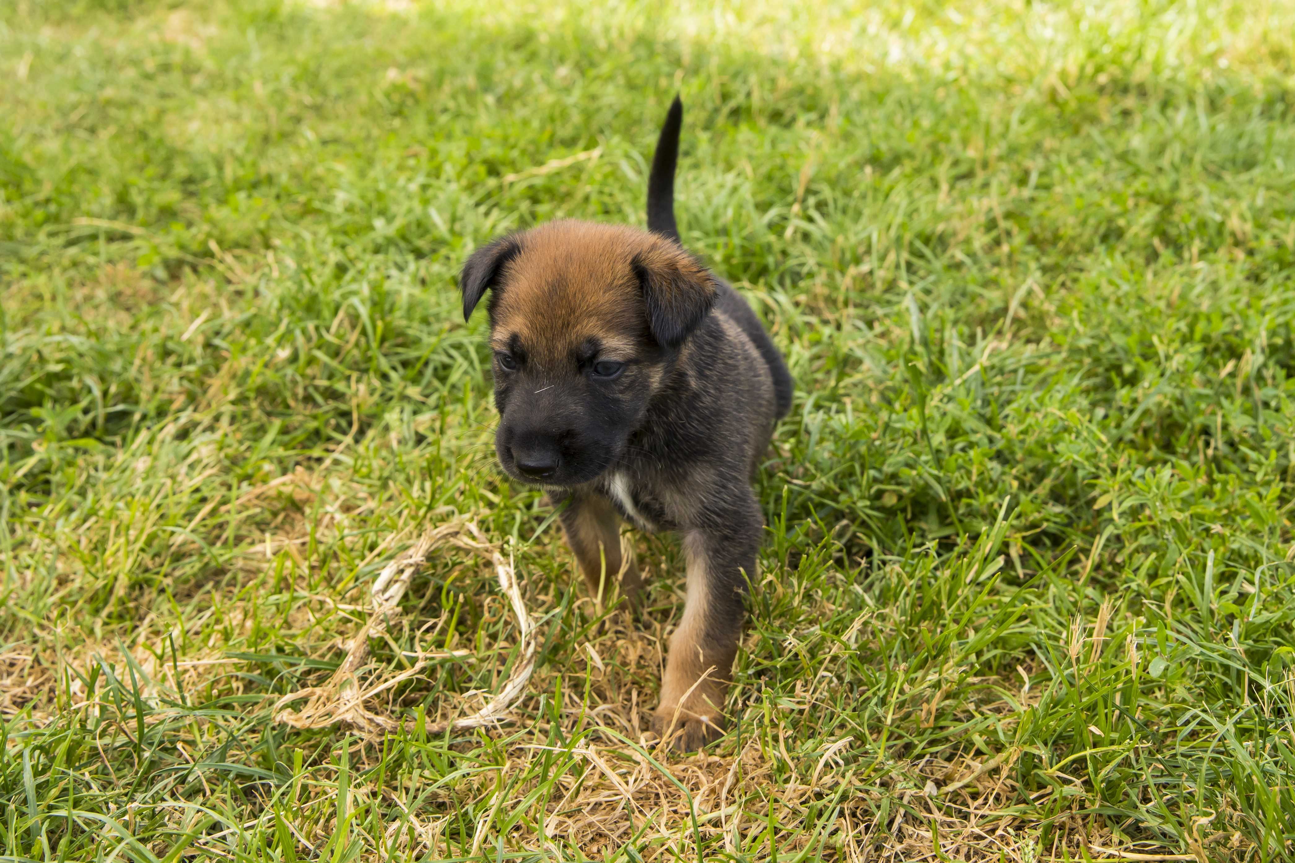 Photo de Tyrion