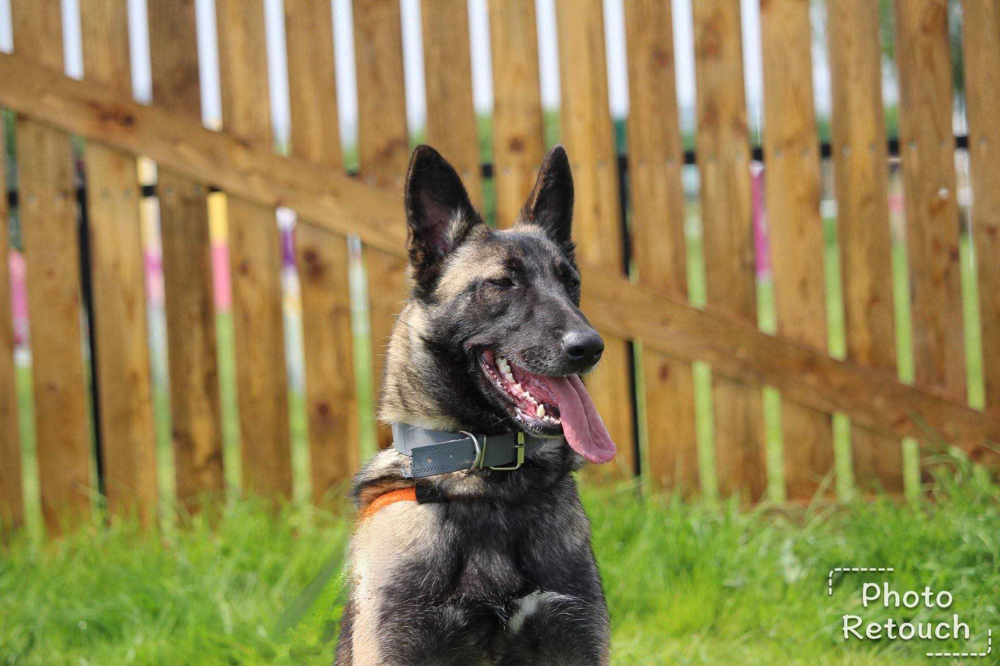 Photo de Bonnie